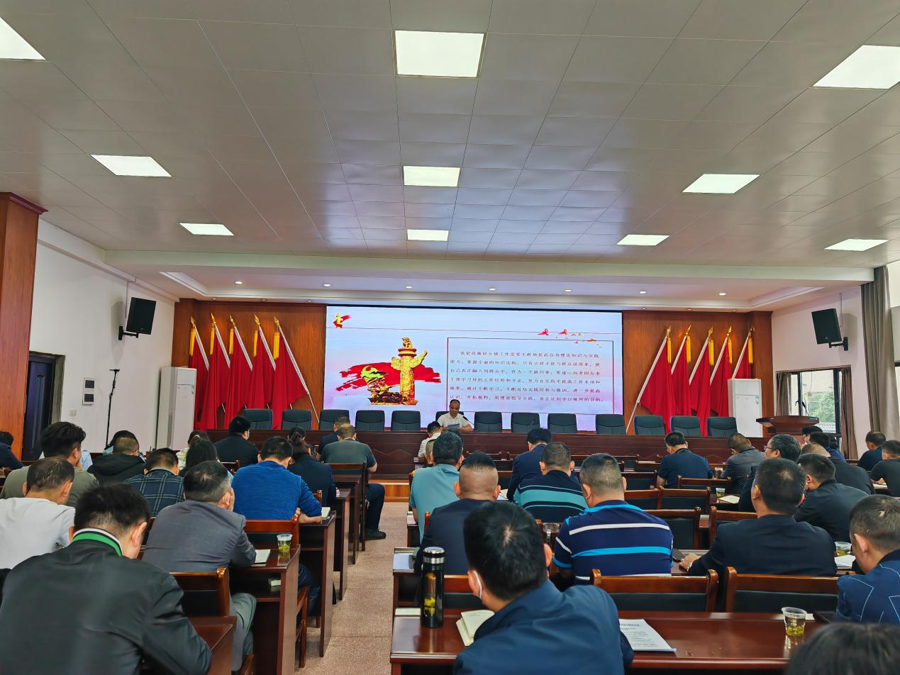 汉寿县蒋家嘴镇：激发青年力量，绽放青春光芒
