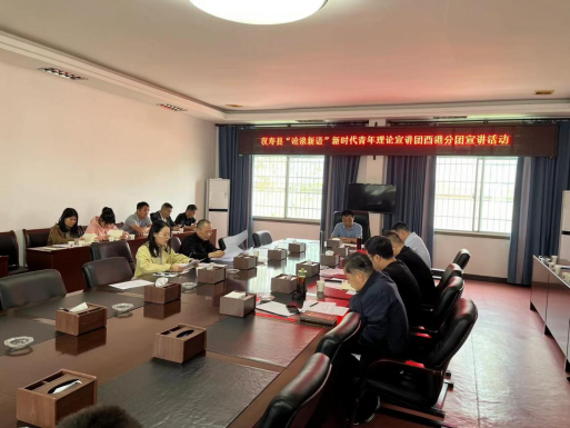 汉寿县酉港镇开展“沧浪新语”新时代青年理论学习宣讲活动