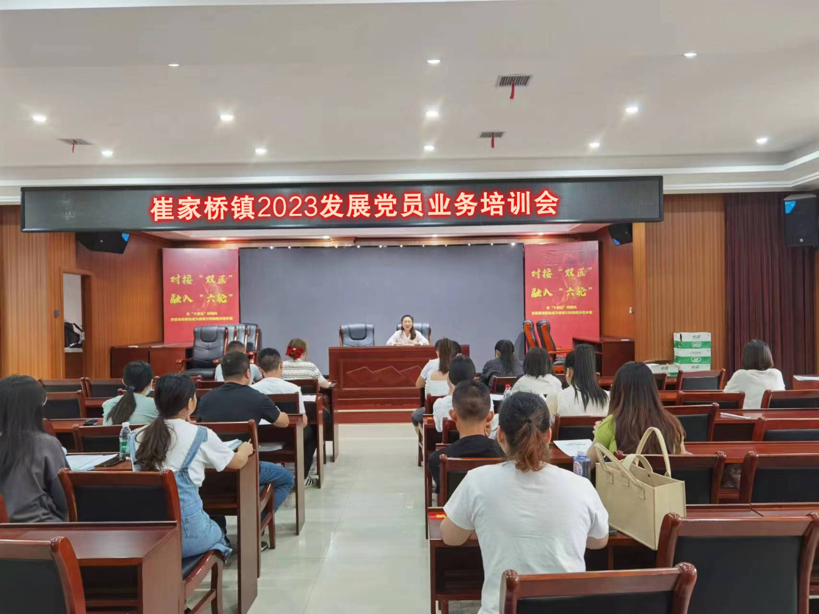 汉寿县崔家桥镇开展2023年发展党员业务培训