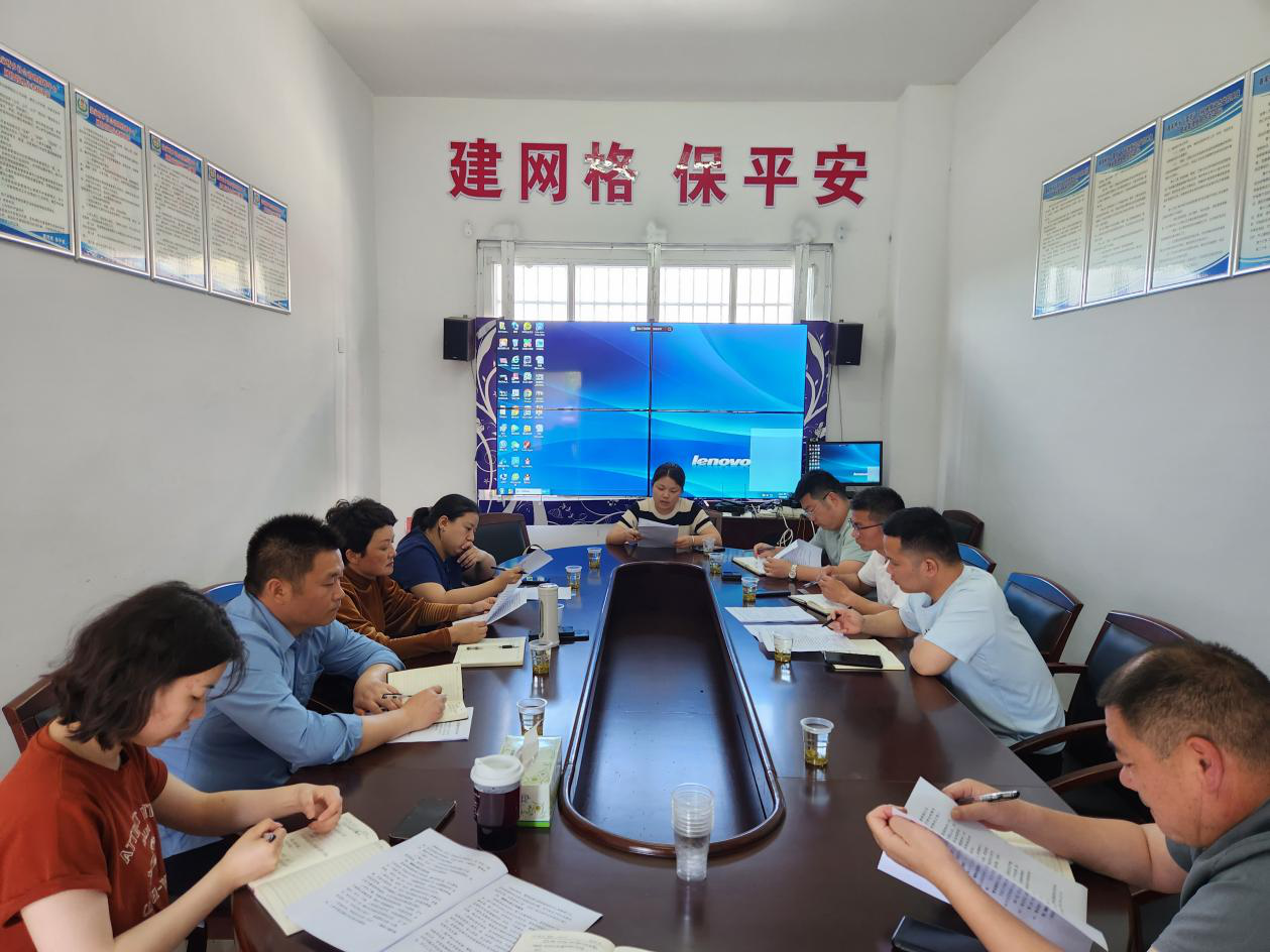 汉寿县聂家桥乡开展村（社区）班子届中分析工作