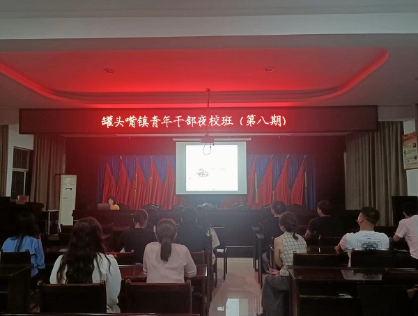 汉寿县罐头嘴镇：青年干部充电赋能  助力推进乡村振兴