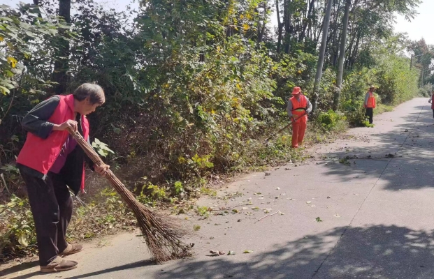 汉寿县洲口镇：开展除草作业 美化公路环境