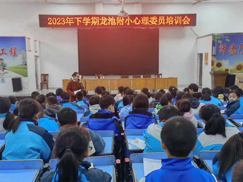 汉寿龙池实验中学附属小学：从“心”出发，与爱同行