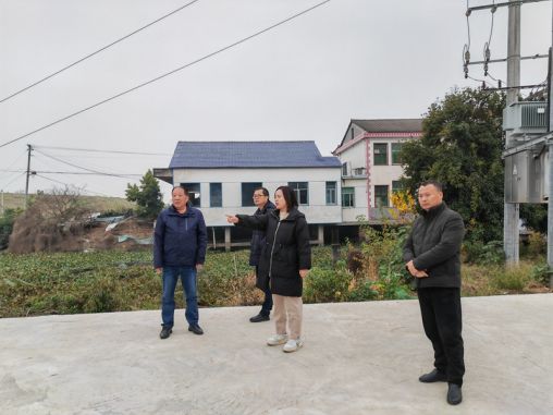 汉寿县坡头镇：督导公路建设工作