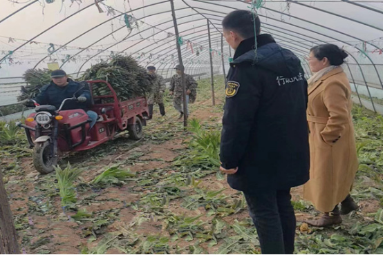 汉寿县农业农村局：坚持“管”“打”结合  保障农产品质量安全