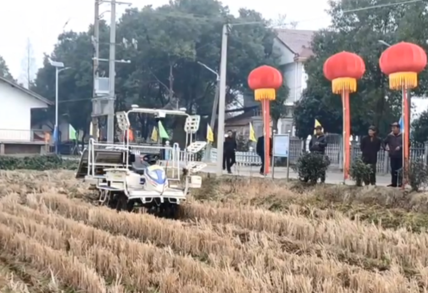 汉寿县科技局：依靠科技赋能 助推农业高质量发展