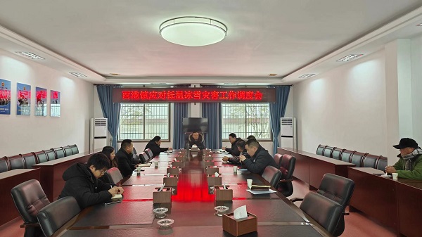 【抗击冰雪一线】汉寿县酉港镇：党员干部沉一线，扫冰除雪显担当 全力做好强降雪及寒潮天气应对工作