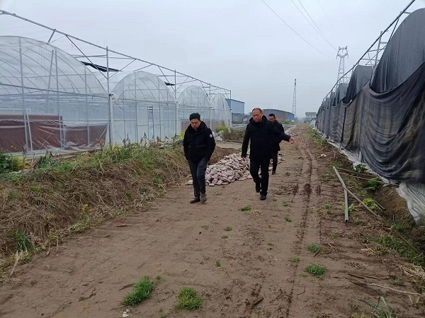 汉寿县罐头嘴镇：多措并举，抓好灾后重建