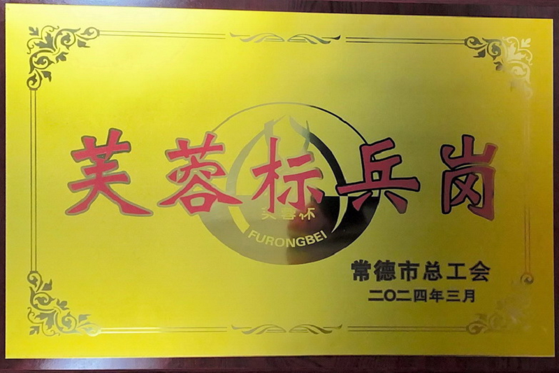 汉寿县东正街小学三年级组荣获常德市“芙蓉标兵岗”