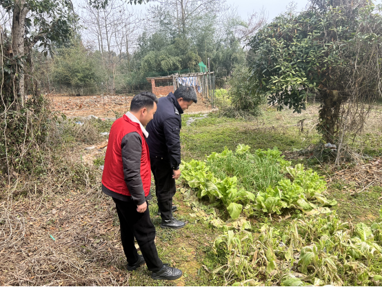 汉寿县朱家铺镇：开展春季“禁毒铲种”专项行动