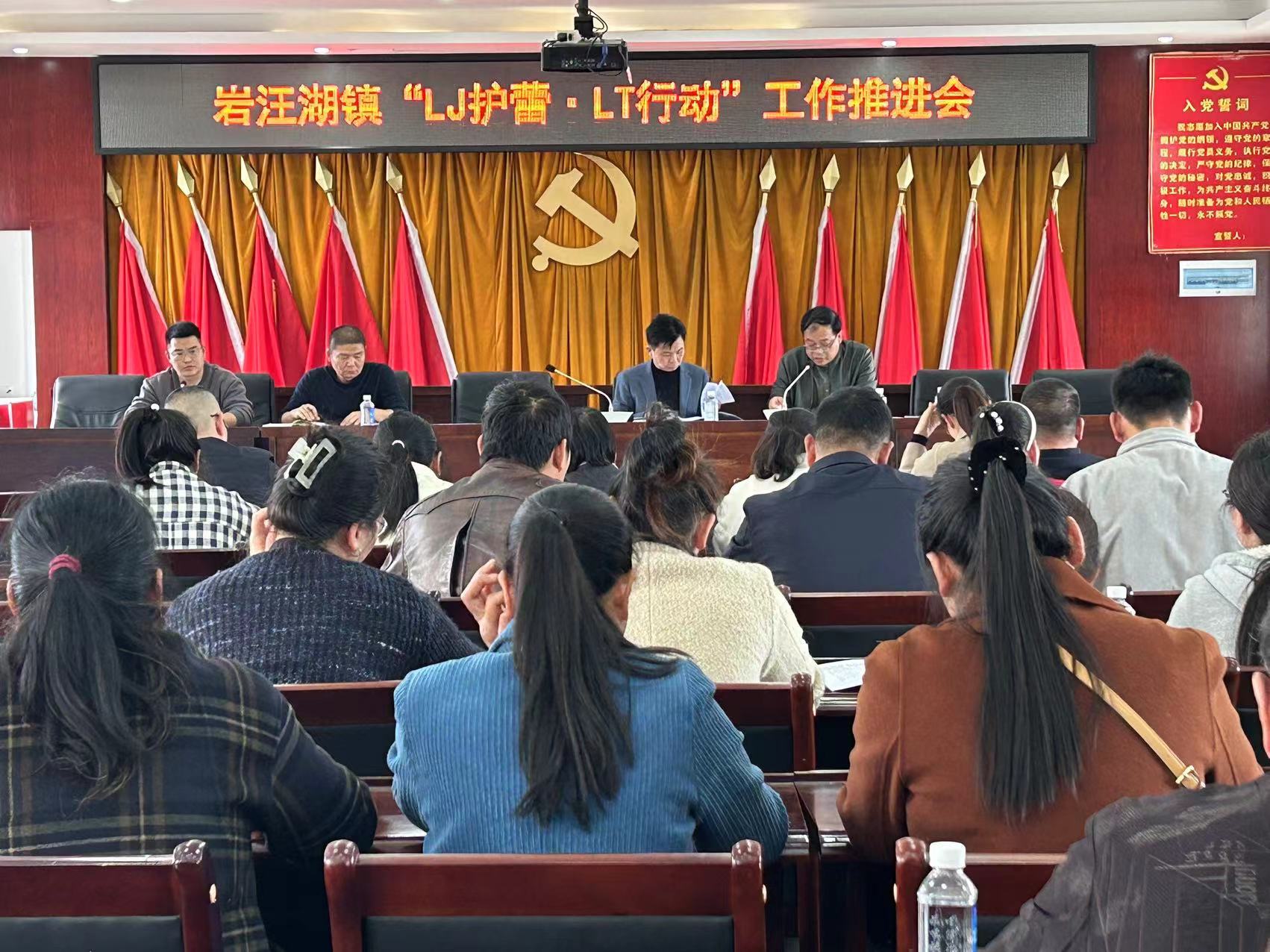 汉寿县岩汪湖镇召开“利剑护蕾·雷霆行动”工作推进会