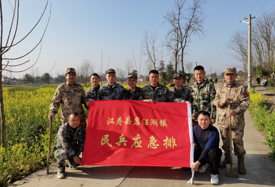 汉寿县岩汪湖镇武装部组织开展植树活动