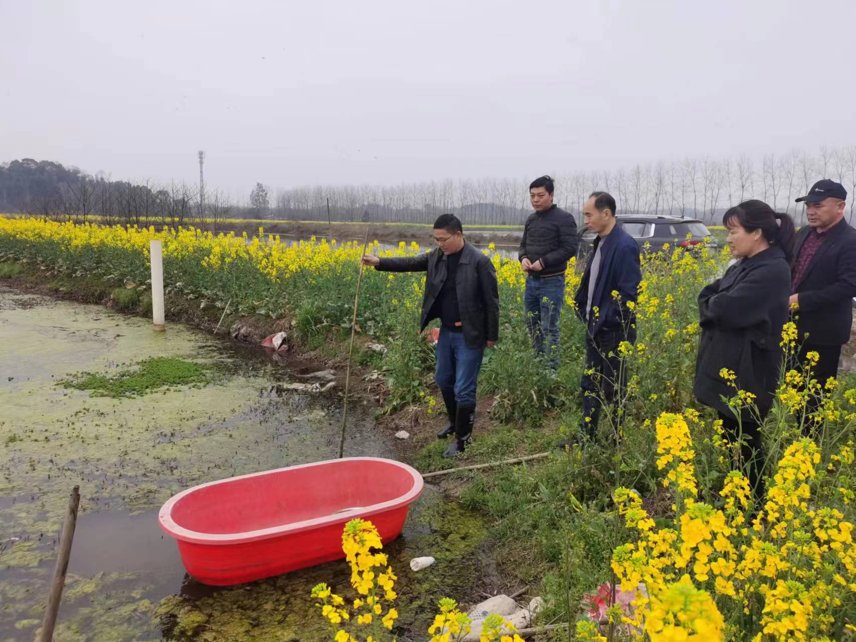 汉寿县岩汪湖镇：下沉一线监督 助力春耕备耕