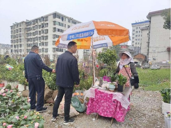 汉寿县林业局开展种苗交易市场 “双打”工作