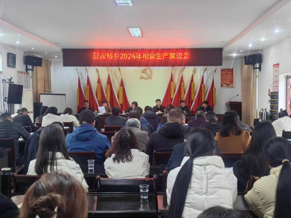 汉寿县聂家桥乡：春耕备耕进行时 不负春耕好时节