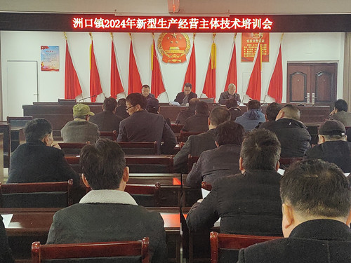 汉寿县洲口镇：大力推广低镉水稻品种  稳定粮食播种面积促安全