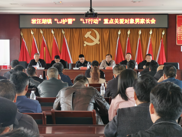 汉寿县岩汪湖镇召开“利剑护蕾·雷霆行动”重点关爱对象男家长会
