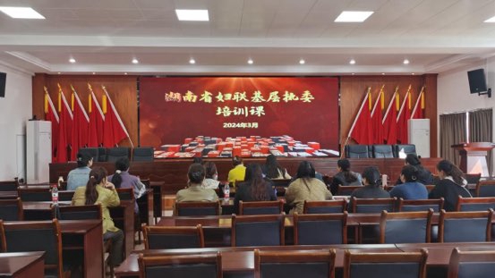 汉寿县蒋家嘴镇：凝聚巾帼力量 做好基层妇联工作