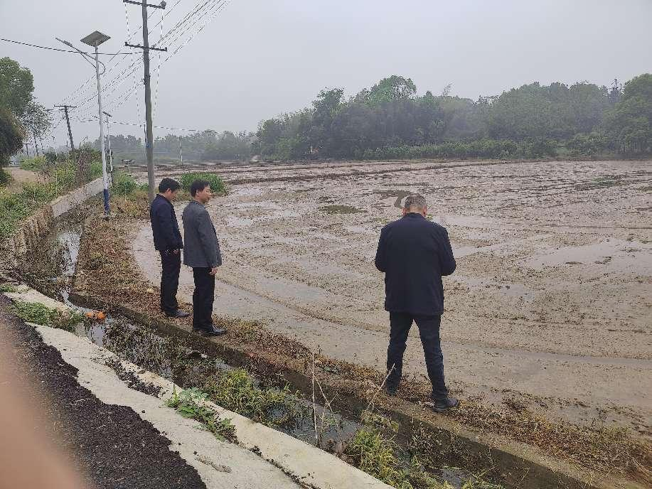 汉寿县百禄桥镇纪委：执纪监督到田头 不误农时保春耕