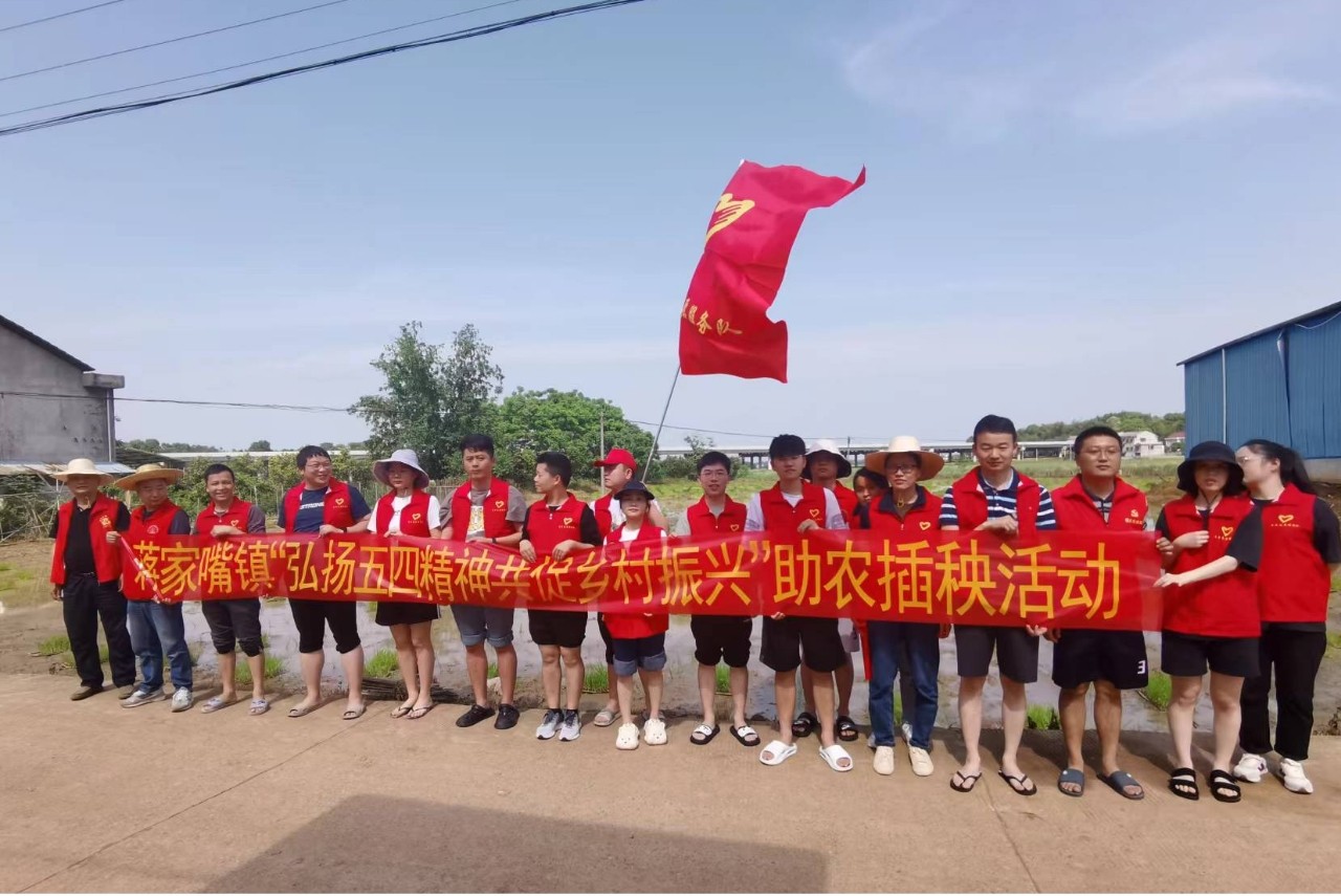 汉寿县蒋家嘴镇开展“弘扬五四精神 共促乡村振兴”助农插秧实践活动
