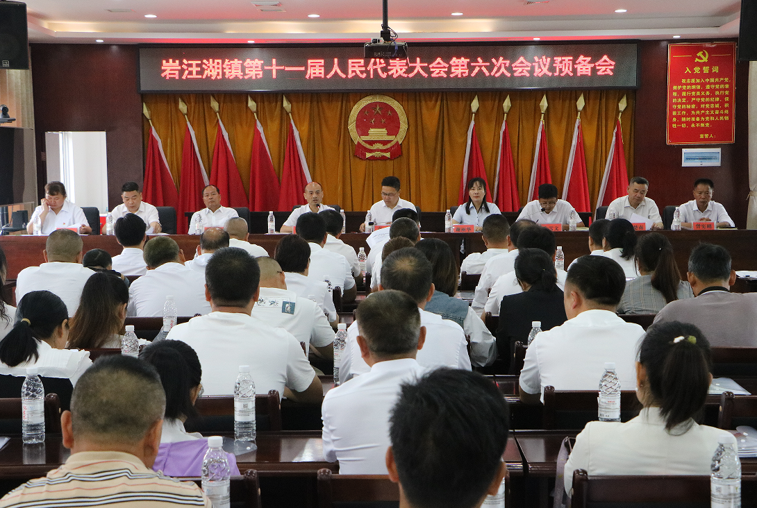 汉寿县岩汪湖镇：第十一届人民代表大会第六次会议召开