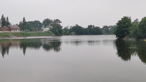 汉寿县洲口镇：全力清理河道垃圾 重塑水乡优美环境