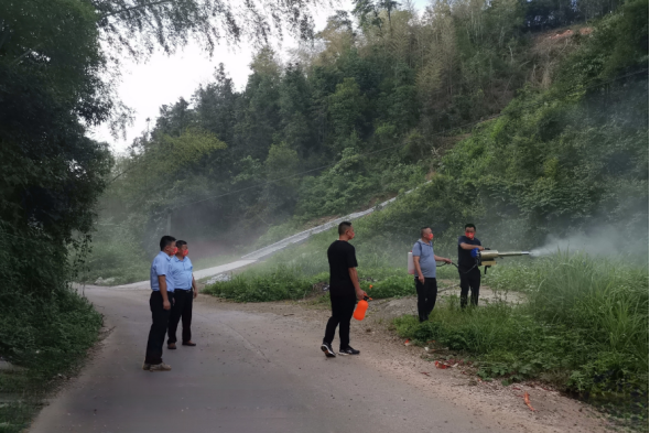汉寿县朱家铺镇：打好防蝗治蝗组合拳