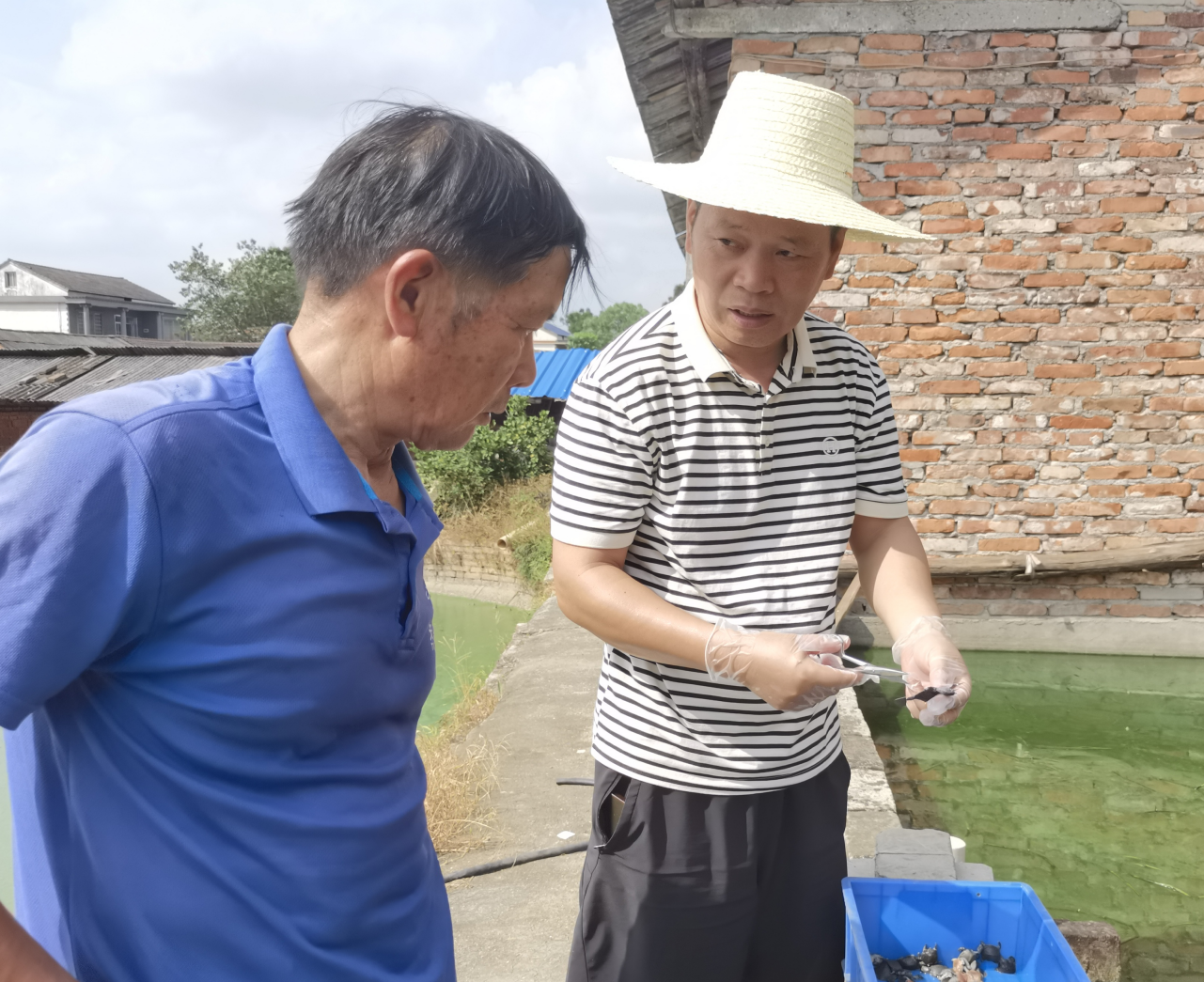 汉寿县特种水产科学研究所：不畏高温酷暑 开展生态养殖技术服务