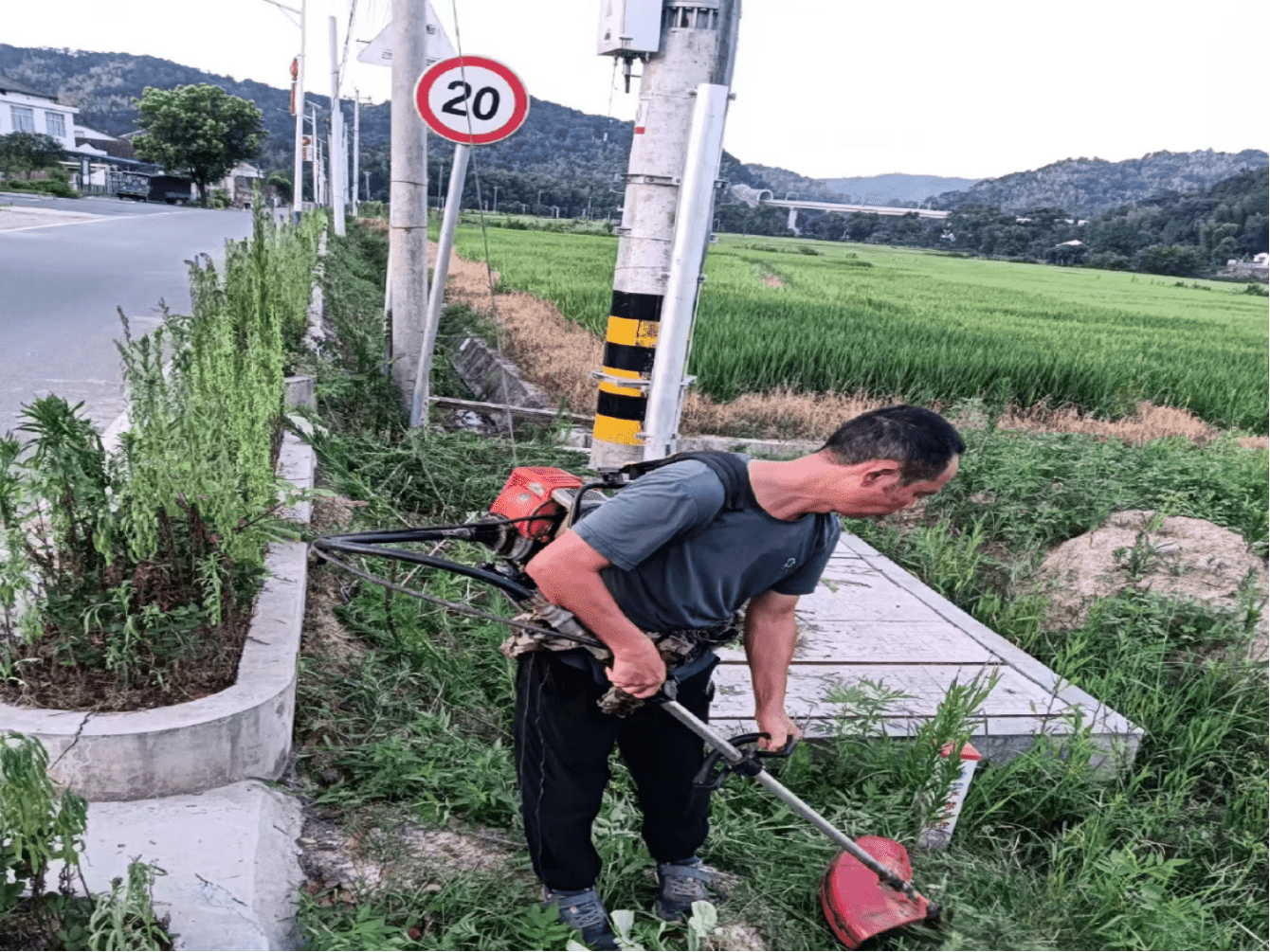 汉寿县崔家桥镇开展人居环境整治活动