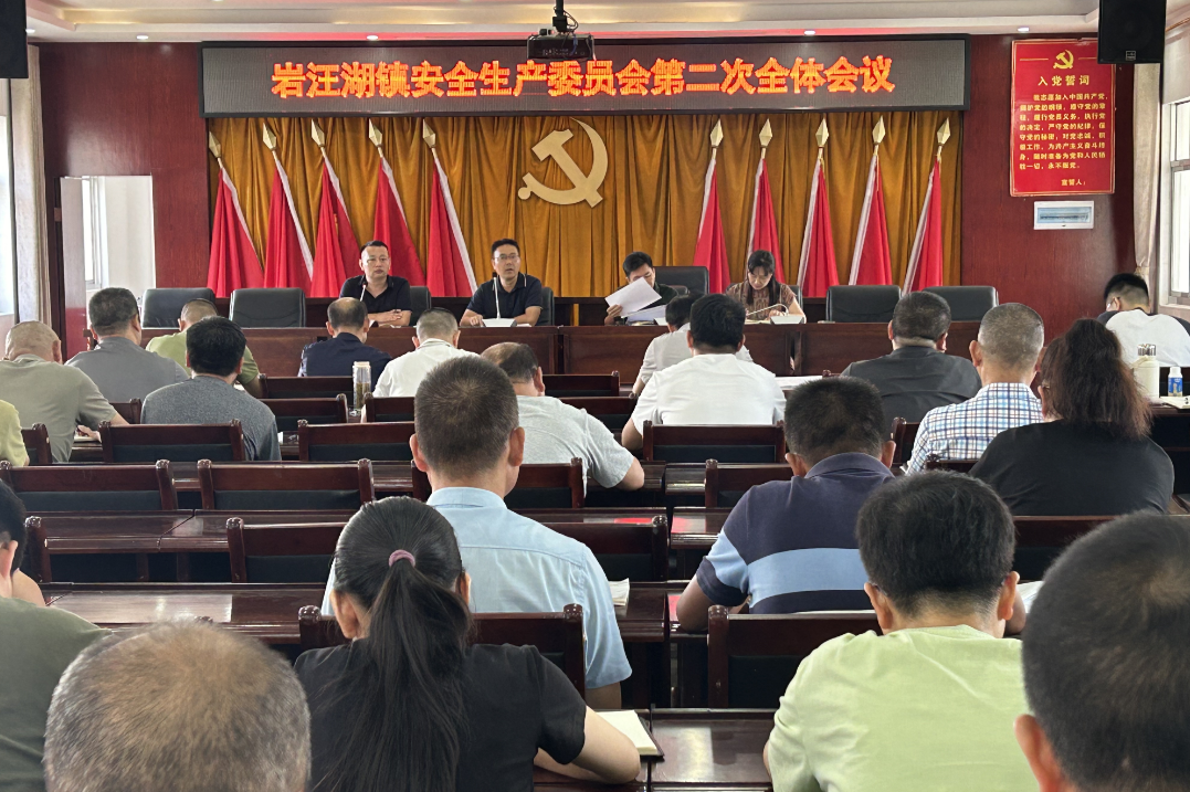 【安全守底行动】汉寿县岩汪湖镇开展安全生产隐患大排查专项行动