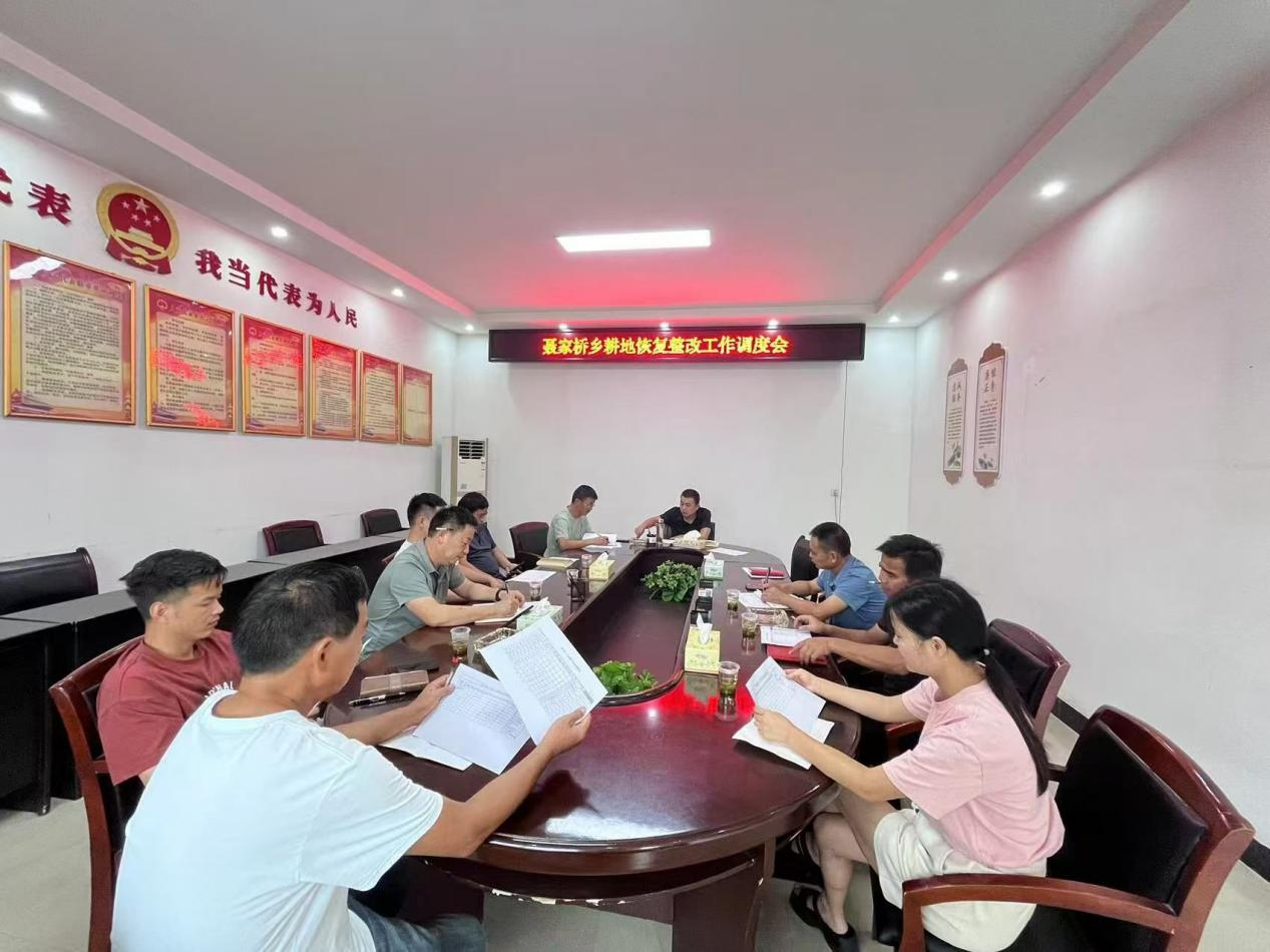 汉寿县聂家桥乡：全力推进耕地恢复整改工作