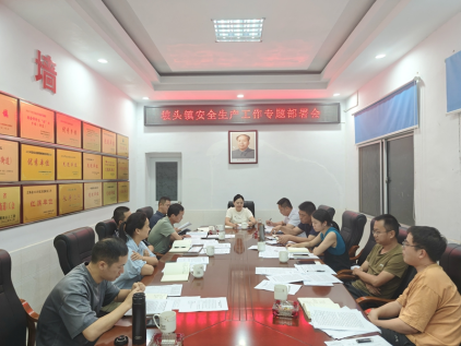 【安全守底行动】汉寿县坡头镇召开安全生产工作专题部署会