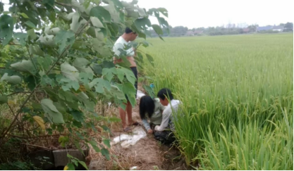 汉寿县坡头镇：紧急关头 挽救两条生命