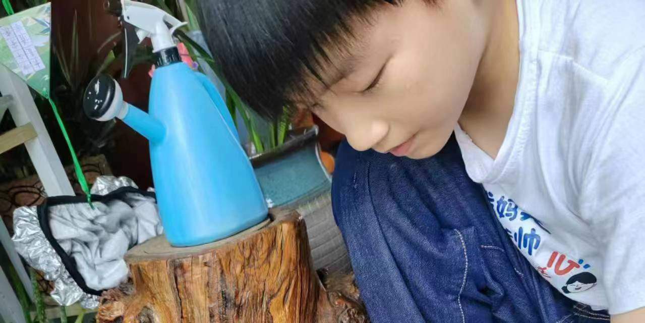 汉寿县詹乐贫中学学子在全国科普日“航天育种”活动中获奖