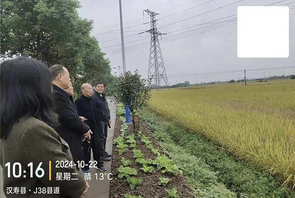汉寿县罐头嘴镇：落实政策扶持 推进乡村振兴