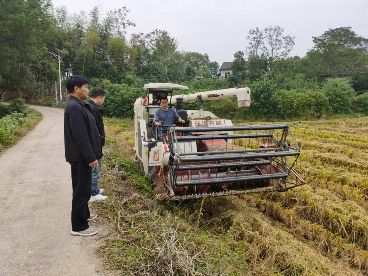 汉寿县株木山街道：打好秸秆综合利用“组合拳”