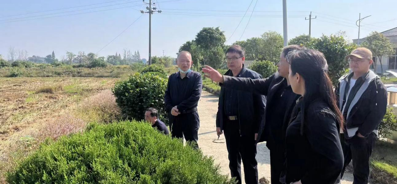 汉寿县岩汪湖镇：激活秸秆价值 共筑生态家园