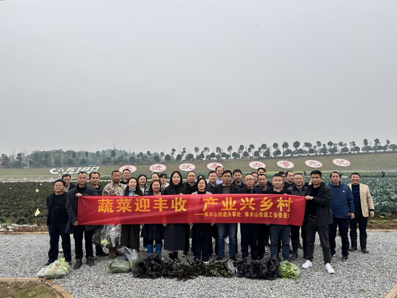 株木山街道：开展“蔬菜迎丰收，产业兴乡村”蔬菜采摘活动