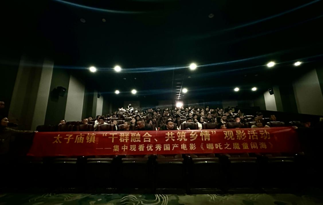 汉寿县太子庙镇：开展“干群融合•共筑乡情”观影活动