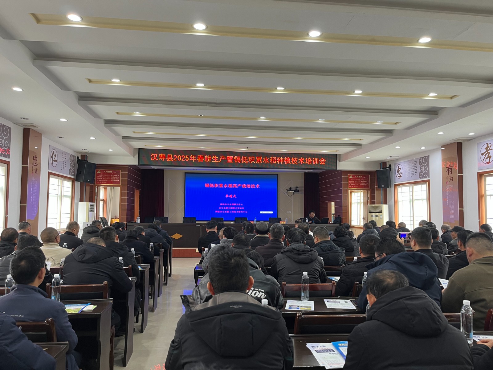 汉寿县召开2025年春耕生产暨镉低积累水稻品种品种种植技术培训会