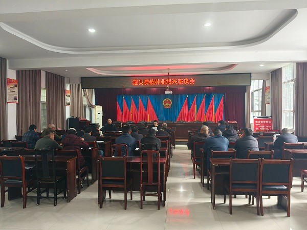 汉寿县罐头嘴镇：座谈共谋粮食生产发展大计