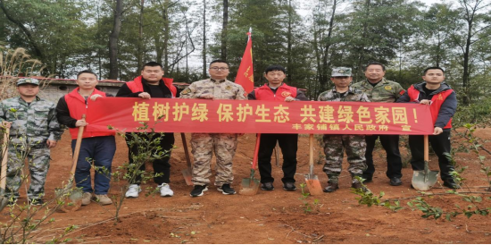 汉寿县丰家铺镇：增植补绿护生态 植绿建新功