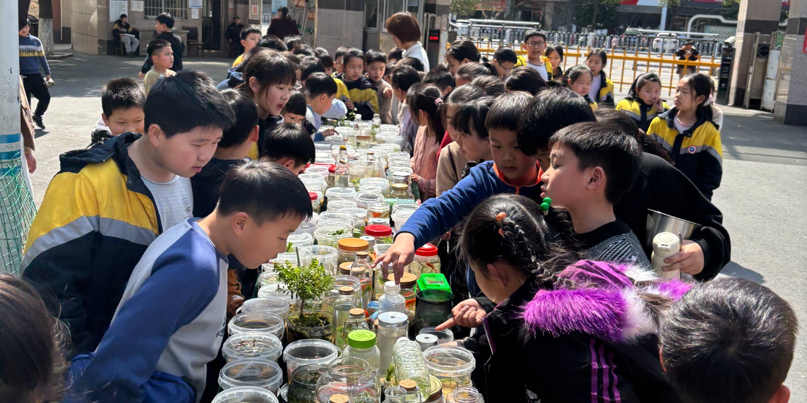 汉寿县詹乐贫中学：绿意方寸间，生态见匠心