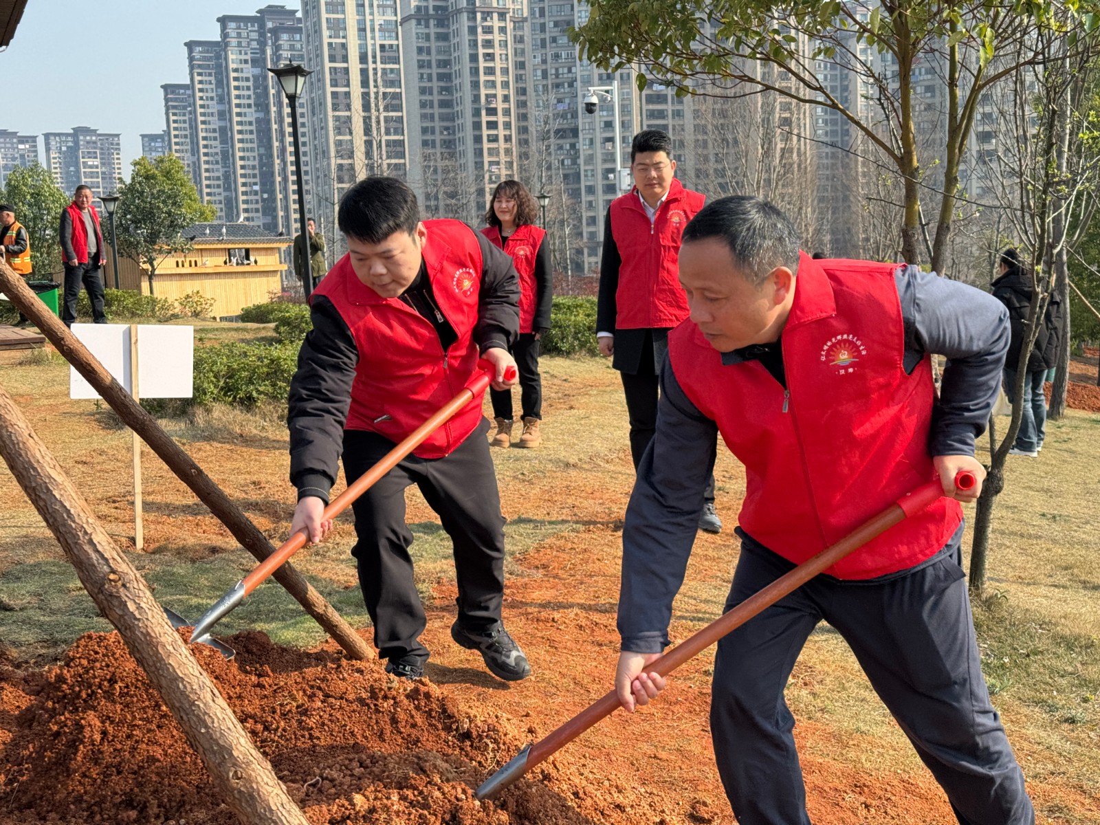 汉寿县林业局：全民植绿正当时，汉寿添绿再出发