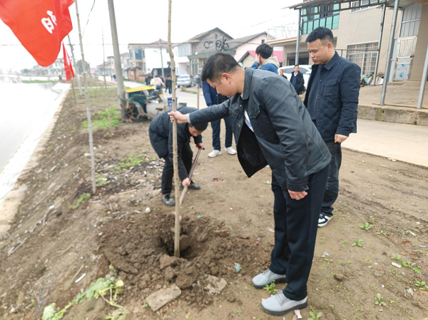 汉寿县罐头嘴镇：重生之树，在植树节种下希望与未来
