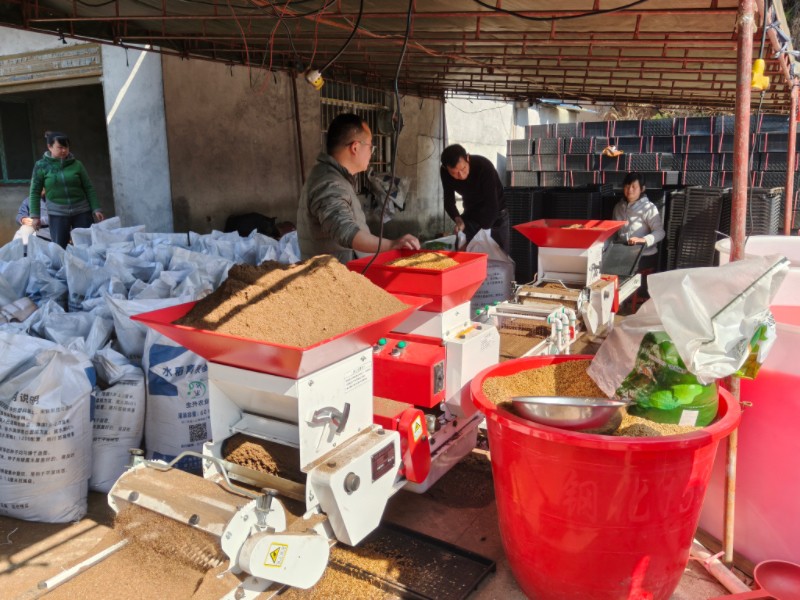 汉寿县朱家铺镇：抢抓农时备春耕 农机助力增效率