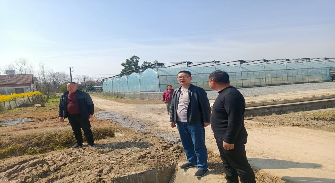 【两会精神进基层】汉寿县岩汪湖镇：春耕正当时，集中育秧助丰收