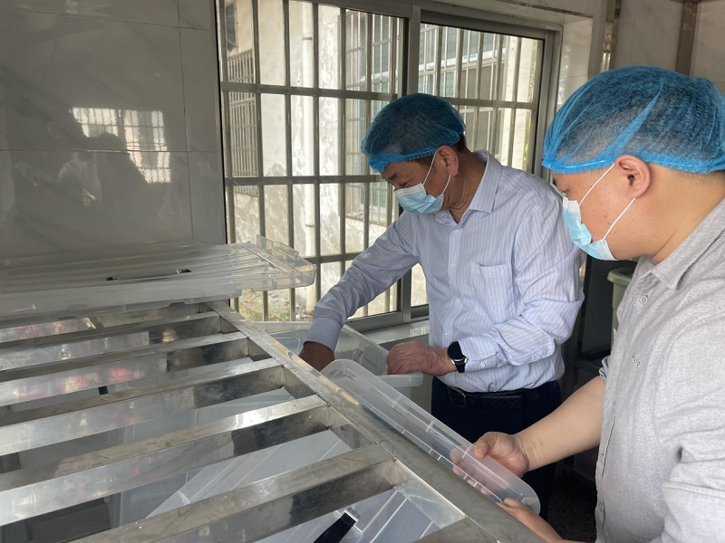 汉寿县教育局检查太子庙学校校园安全工作