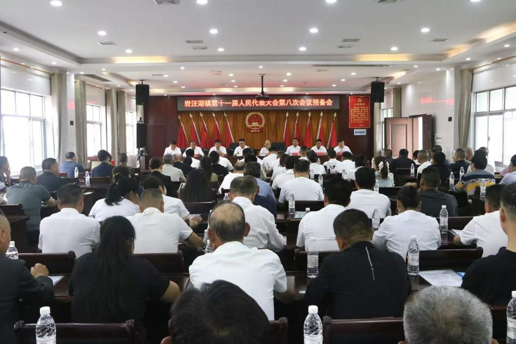 汉寿县岩汪湖镇第十一届人民代表大会第八次会议顺利召开