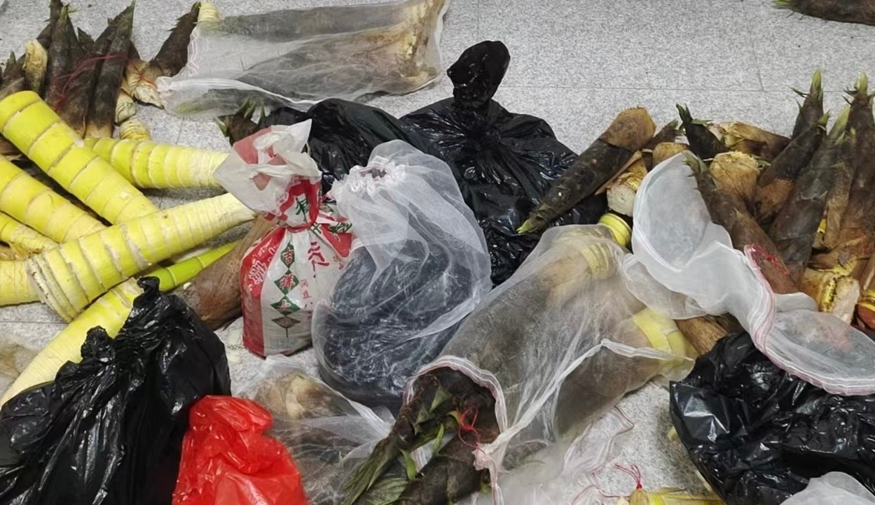 汉寿县开展食用林产品专项抽检  严控竹笋油茶质量安全